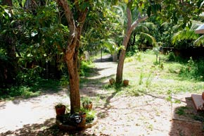 Kovalam villa garden
