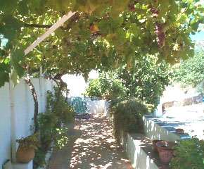 villa vineyard 