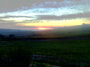 Portuguese sunset