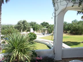 View of garden