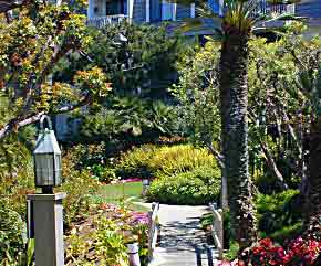 California rental 1021