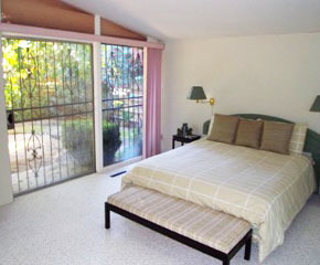 Palm springs villa
