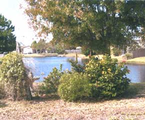 lake