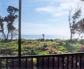 View of ocean from balcony