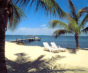Gulf coast beach
